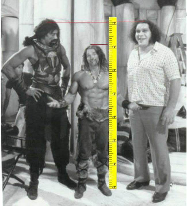 Bruce Lee vs Arnold Schwarzenegger vs Andre the Giant r/whowouldwin